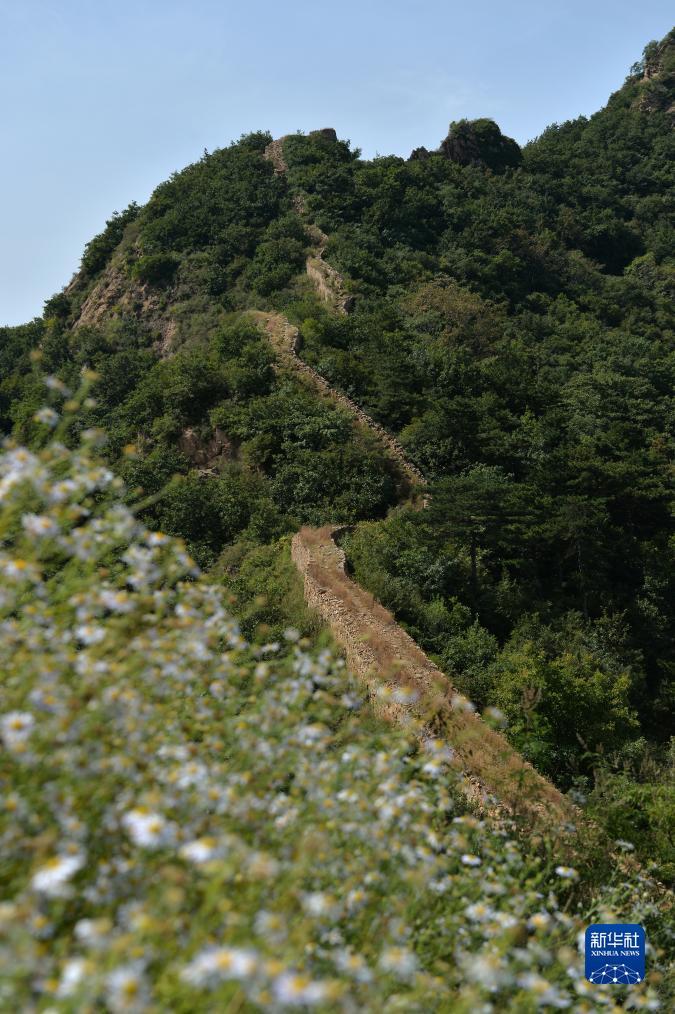 云顶集团优惠活动大厅